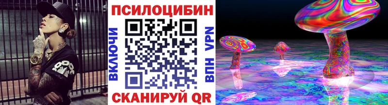 Псилоцибиновые грибы Psilocybine cubensis  площадка состав  Находка 