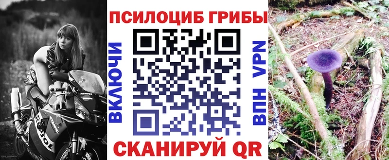 Псилоцибиновые грибы GOLDEN TEACHER Находка
